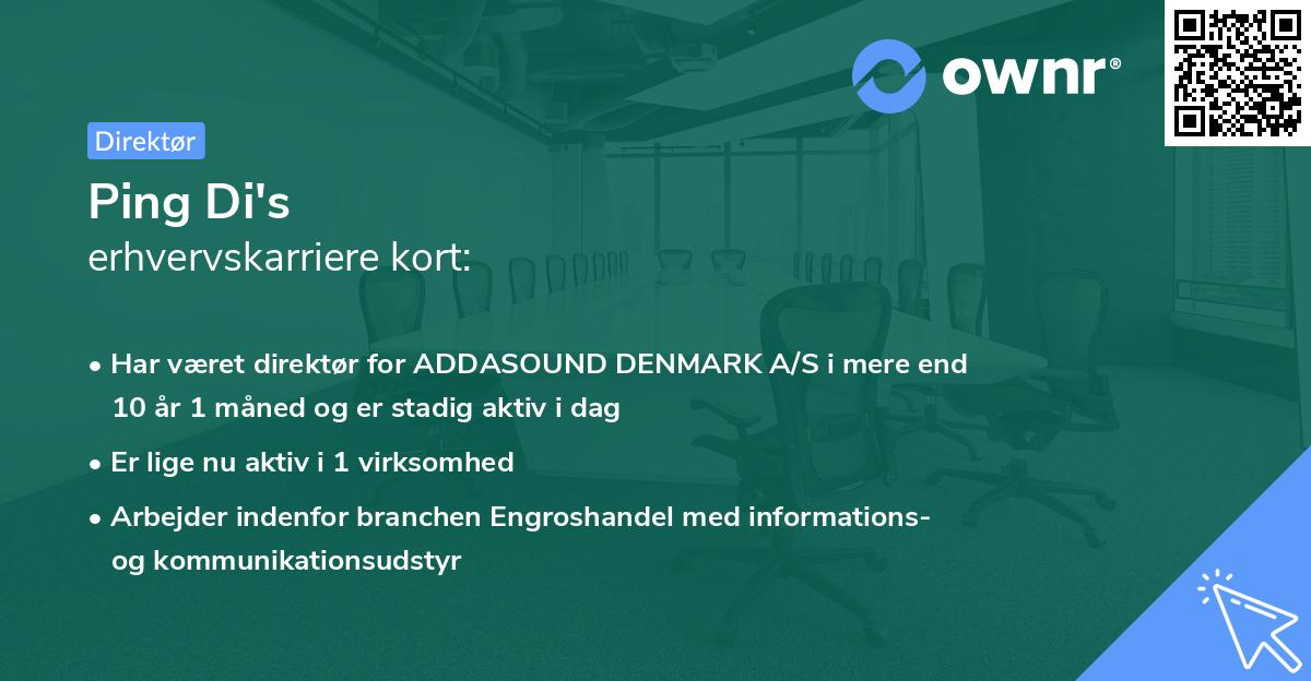 Ping Di's erhvervskarriere kort
