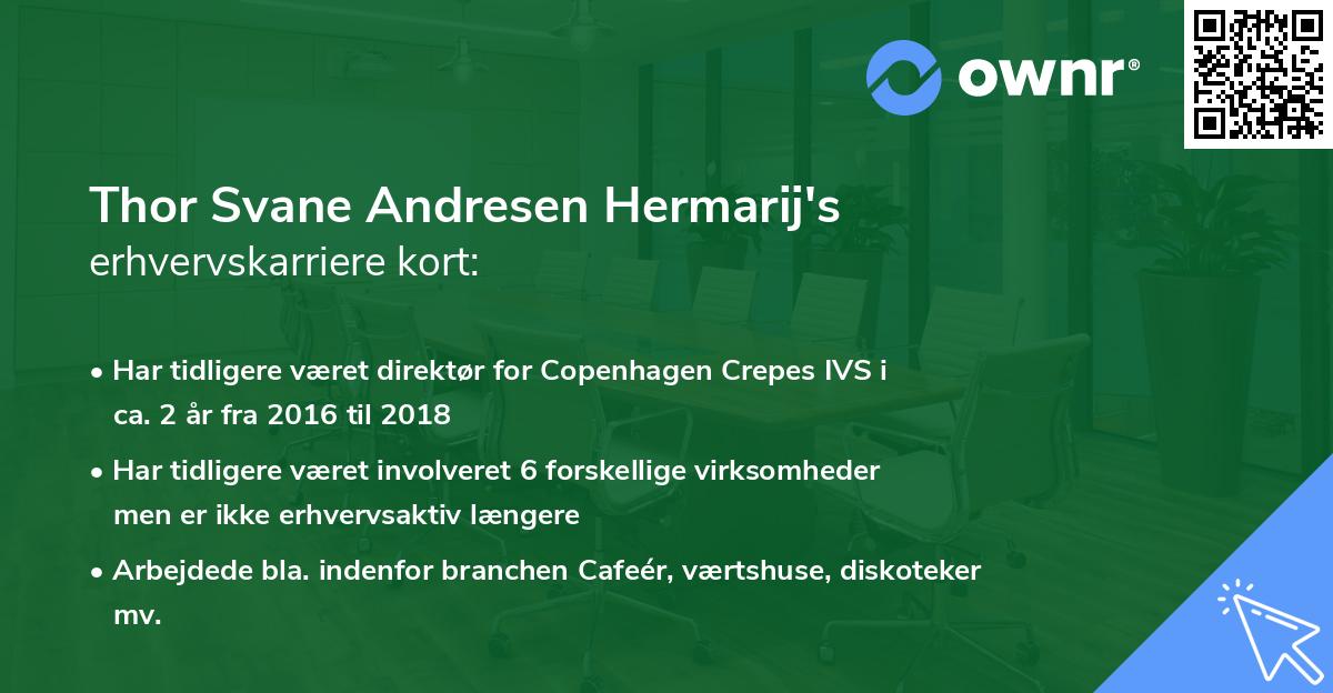 Thor Svane Andresen Hermarij's erhvervskarriere kort