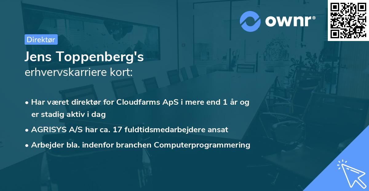 Jens Toppenberg's erhvervskarriere kort