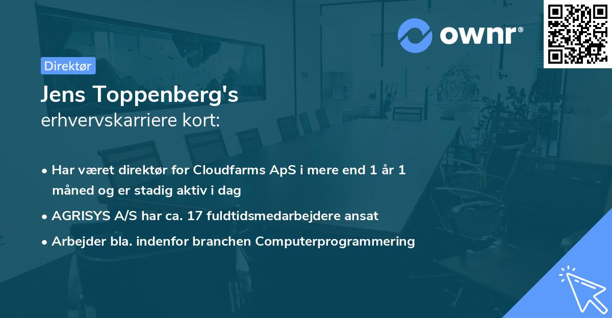 Jens Toppenberg's erhvervskarriere kort