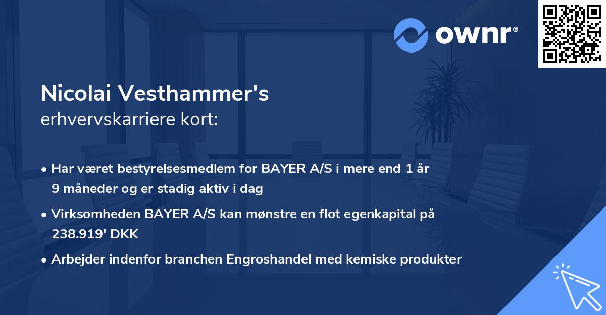 Nicolai Vesthammer's erhvervskarriere kort