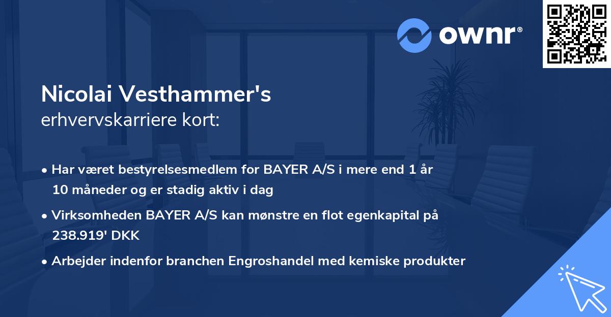Nicolai Vesthammer's erhvervskarriere kort