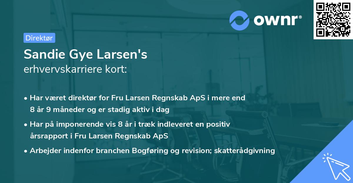 Sandie Gye Larsen's erhvervskarriere kort
