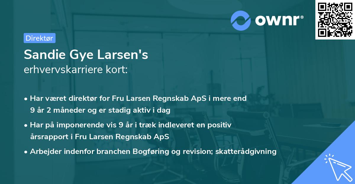 Sandie Gye Larsen's erhvervskarriere kort