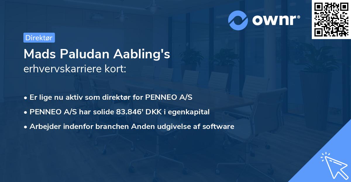 Mads Paludan Aabling's erhvervskarriere kort