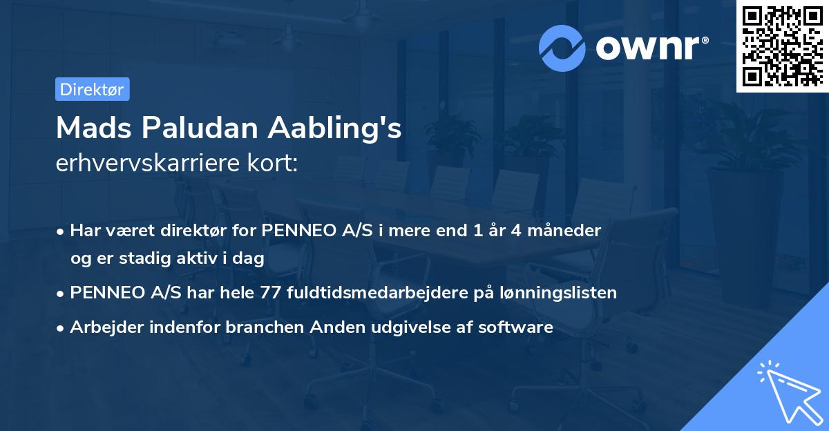 Mads Paludan Aabling's erhvervskarriere kort