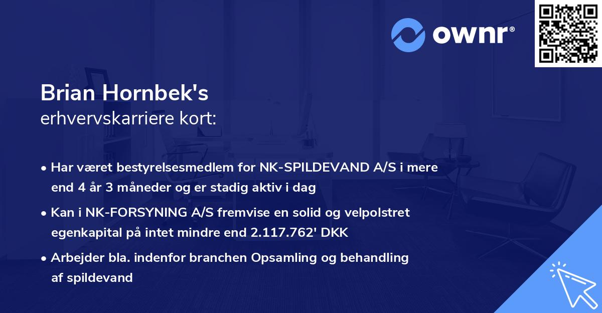 Brian Hornbek's erhvervskarriere kort