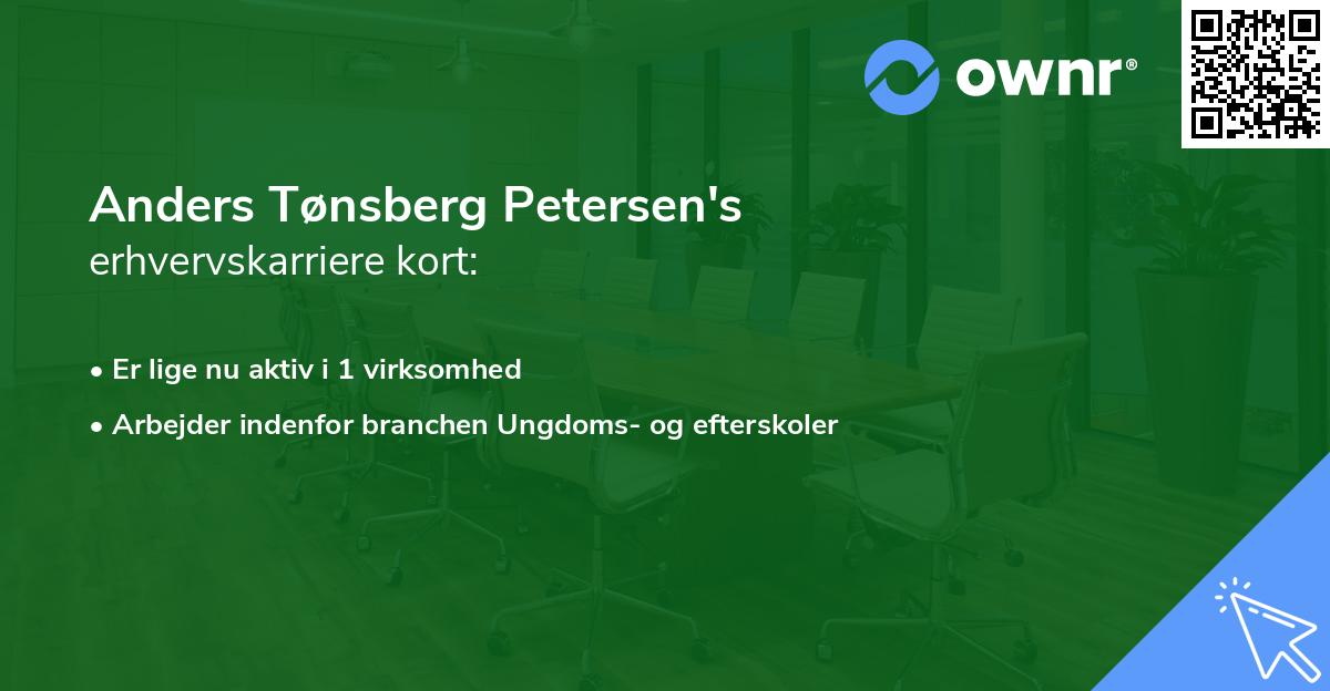 Anders Tønsberg Petersen's erhvervskarriere kort