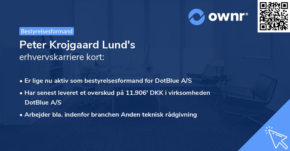 Peter Krojgaard Lund's erhvervskarriere kort
