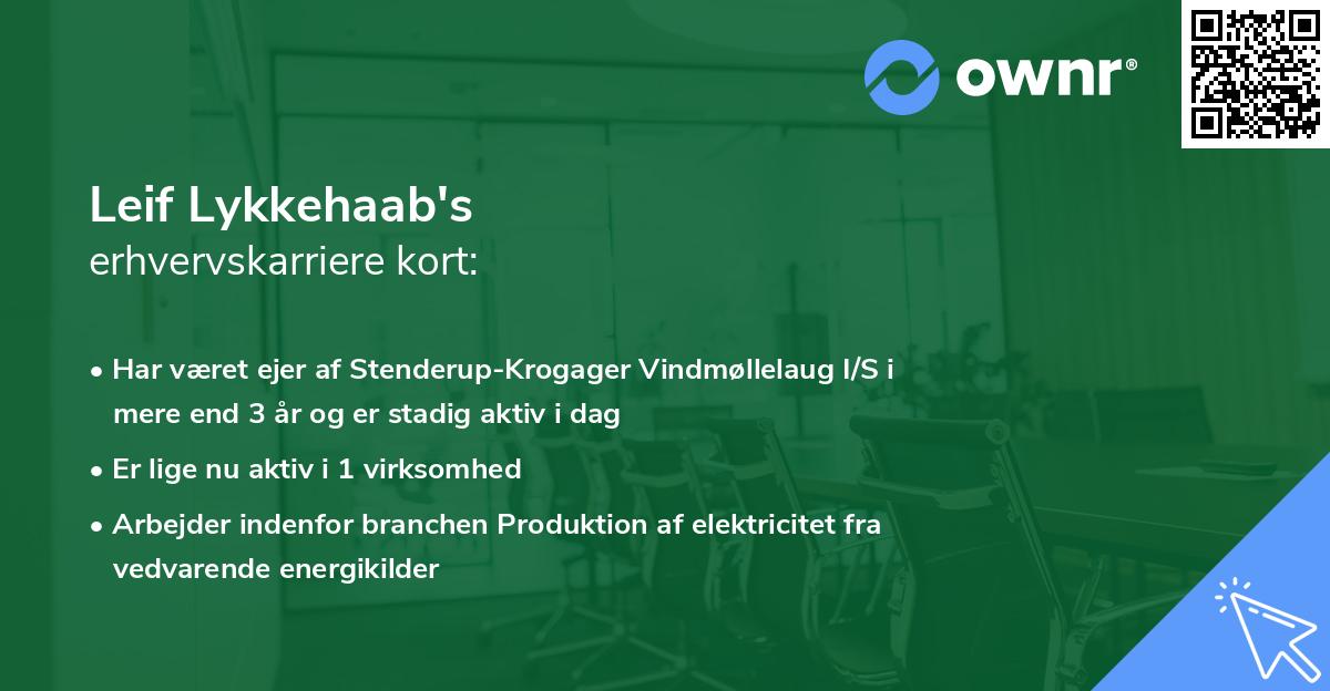 Leif Lykkehaab's erhvervskarriere kort