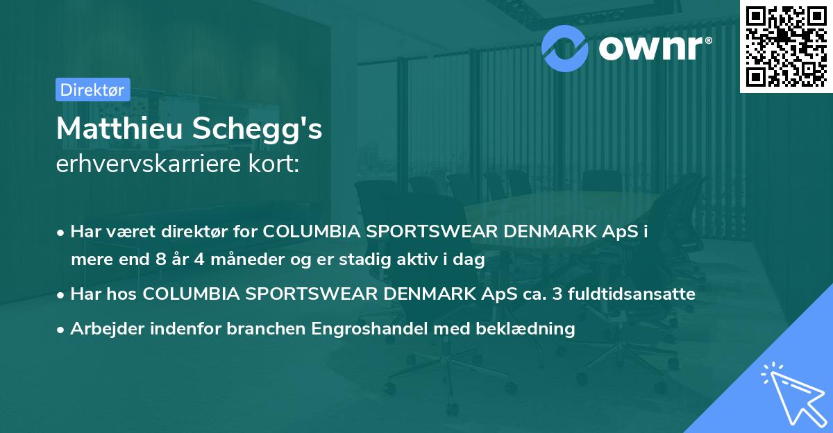 Matthieu Schegg's erhvervskarriere kort