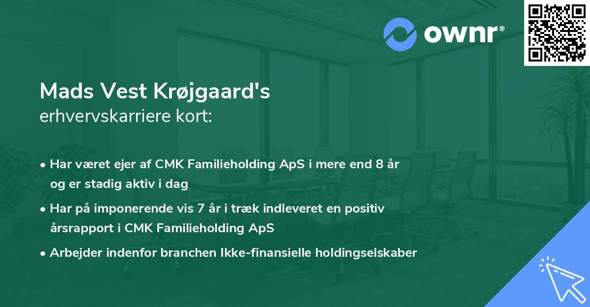 Mads Vest Krøjgaard's erhvervskarriere kort