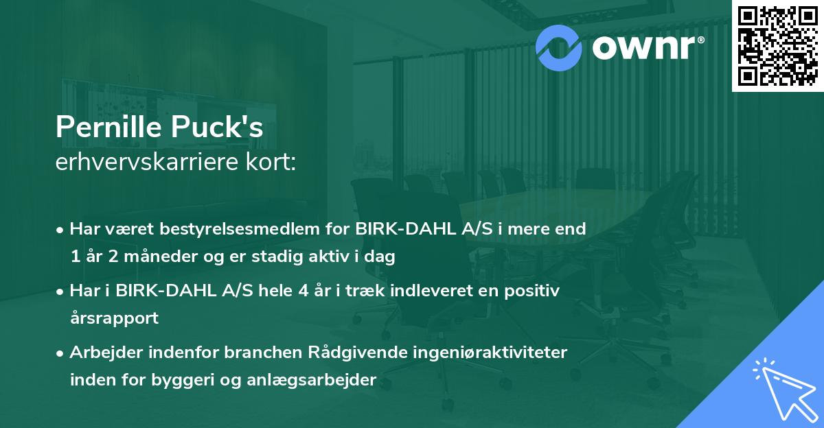 Pernille Puck's erhvervskarriere kort