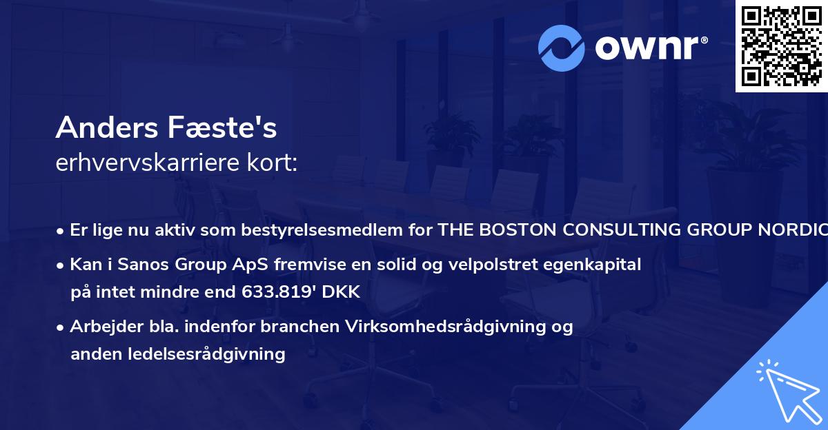 Anders Fæste's erhvervskarriere kort