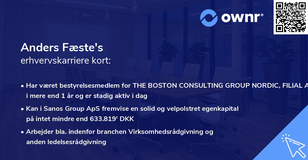 Anders Fæste's erhvervskarriere kort