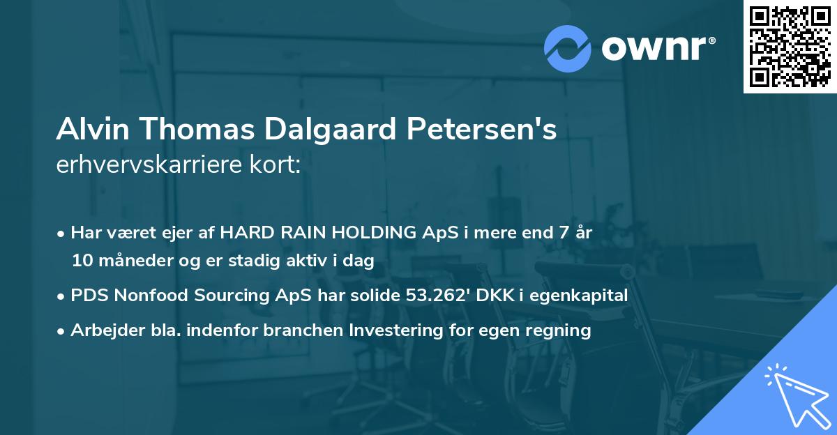Alvin Thomas Dalgaard Petersen's erhvervskarriere kort