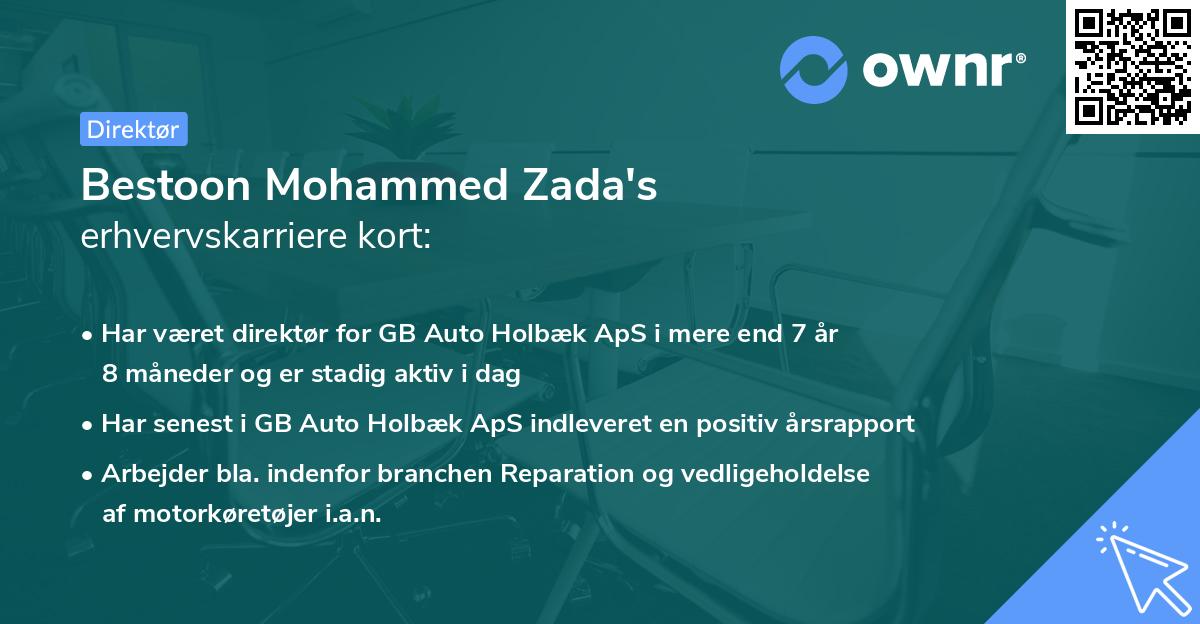 Bestoon Mohammed Zada's erhvervskarriere kort