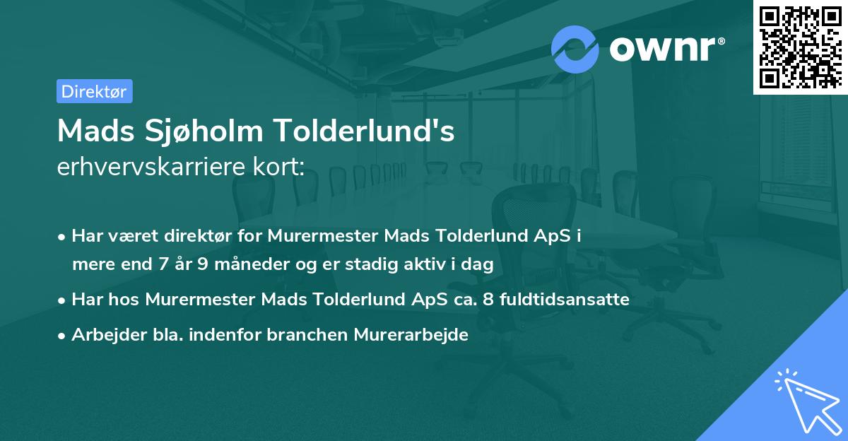 Mads Sjøholm Tolderlund's erhvervskarriere kort