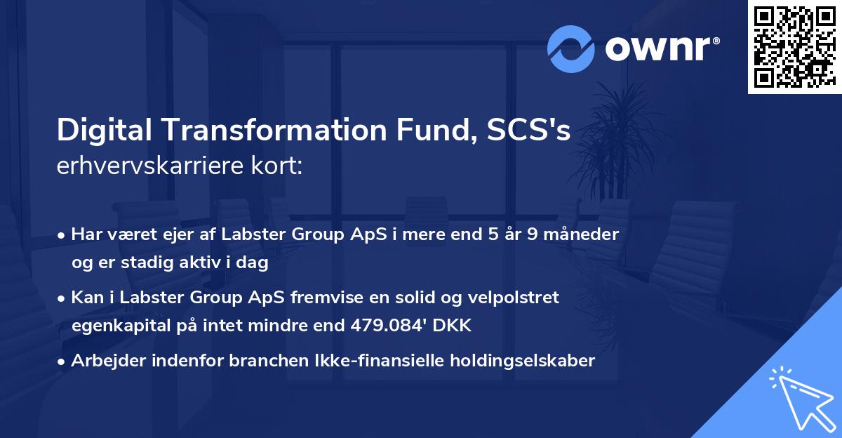 Digital Transformation Fund, SCS's erhvervskarriere kort