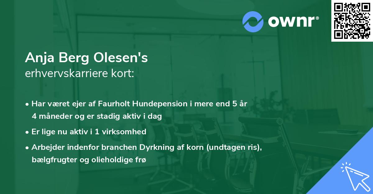 Anja Berg Olesen's erhvervskarriere kort