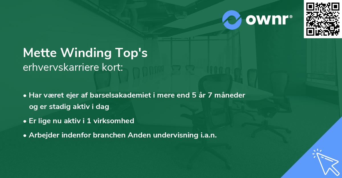 Mette Winding Top's erhvervskarriere kort