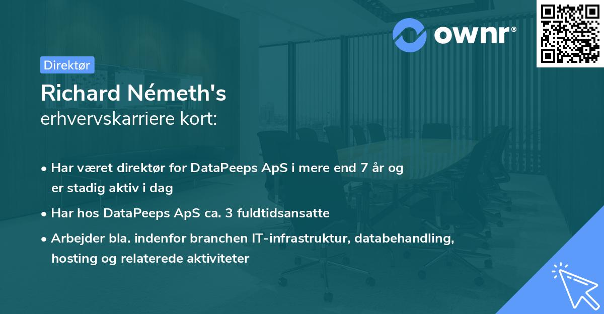 Richard Németh's erhvervskarriere kort