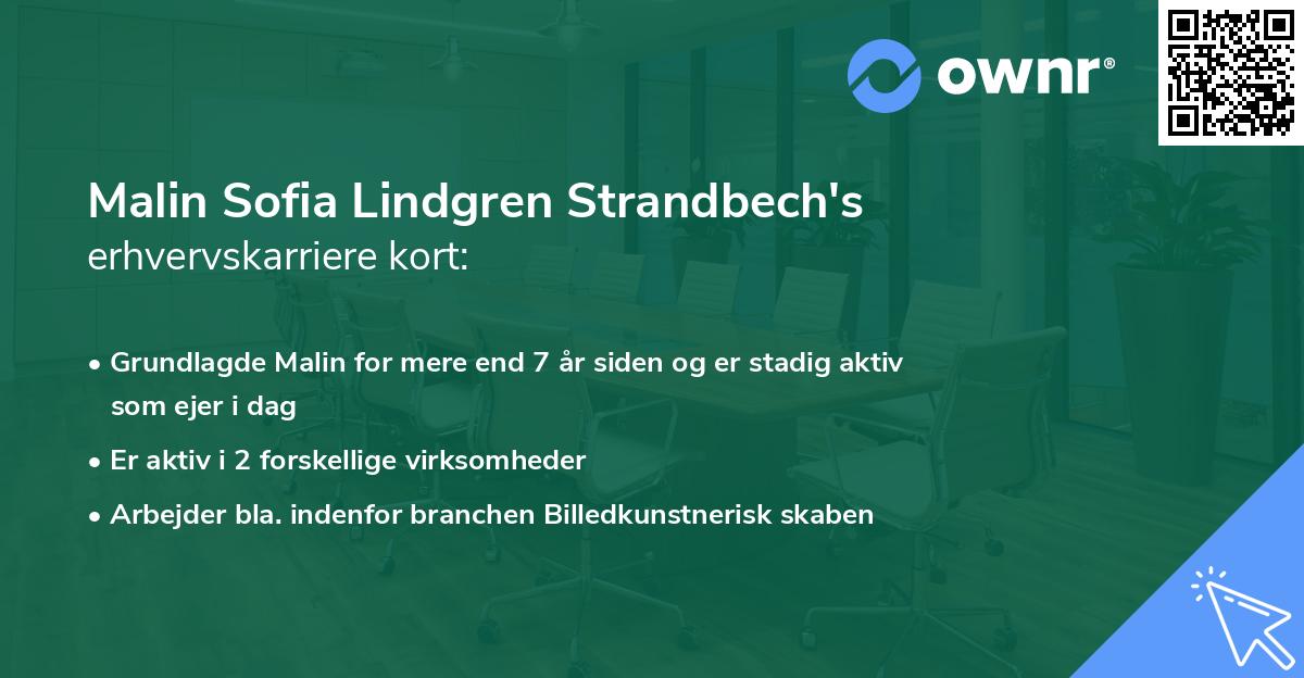 Malin Sofia Lindgren Strandbech's erhvervskarriere kort