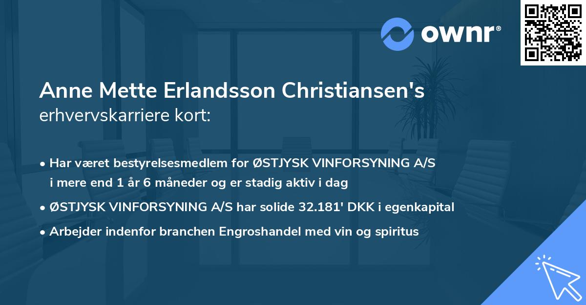 Anne Mette Erlandsson Christiansen's erhvervskarriere kort