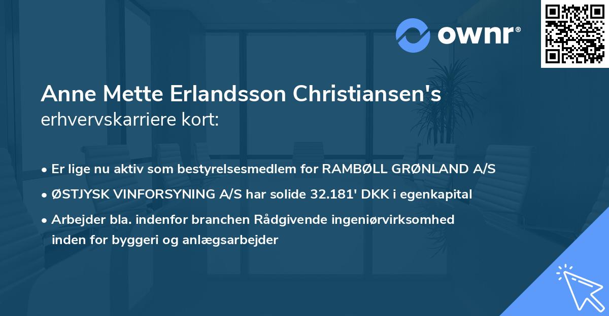 Anne Mette Erlandsson Christiansen's erhvervskarriere kort