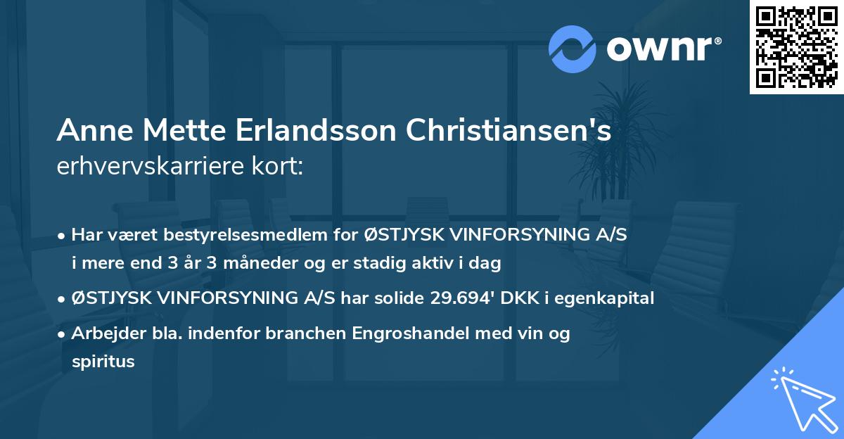 Anne Mette Erlandsson Christiansen's erhvervskarriere kort