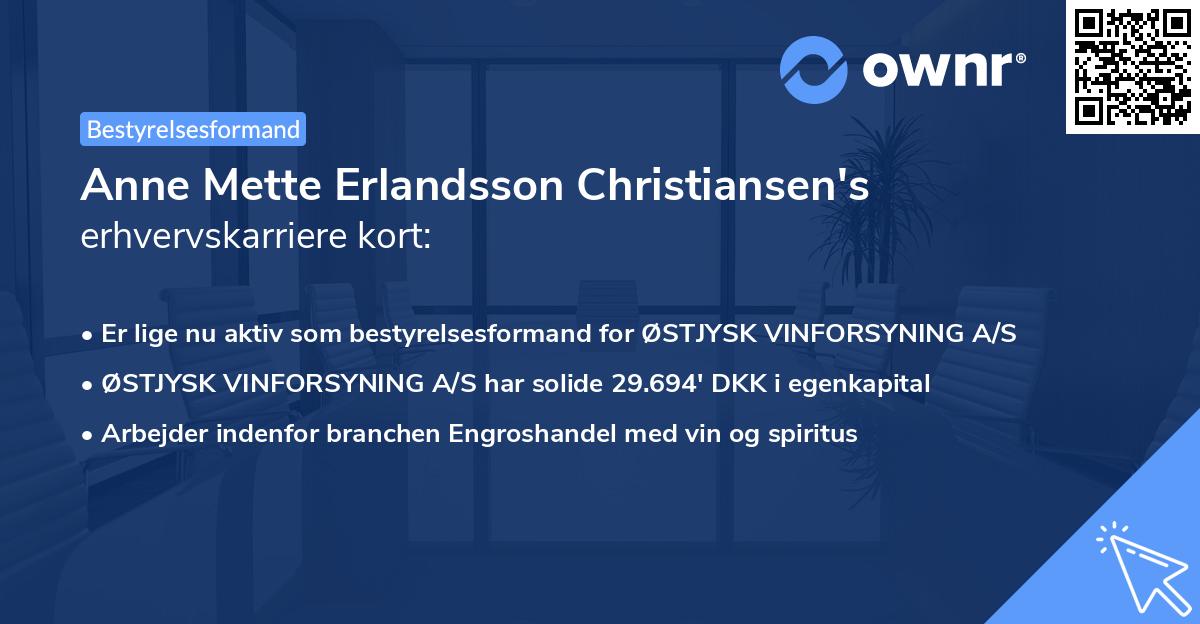 Anne Mette Erlandsson Christiansen's erhvervskarriere kort