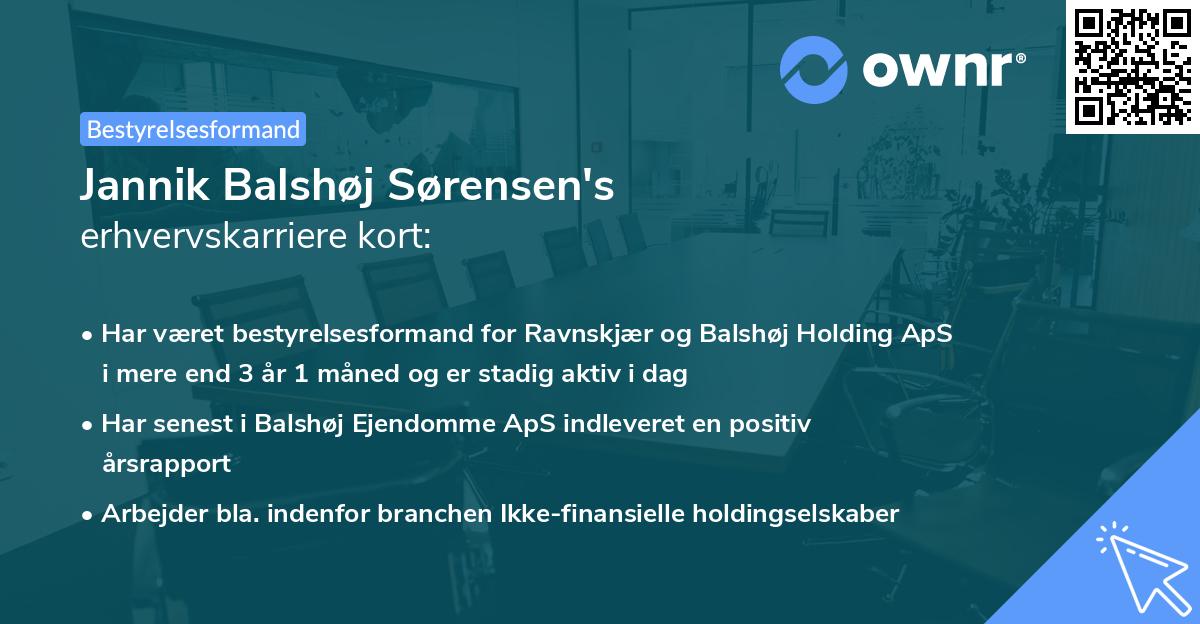 Jannik Balshøj Sørensen's erhvervskarriere kort