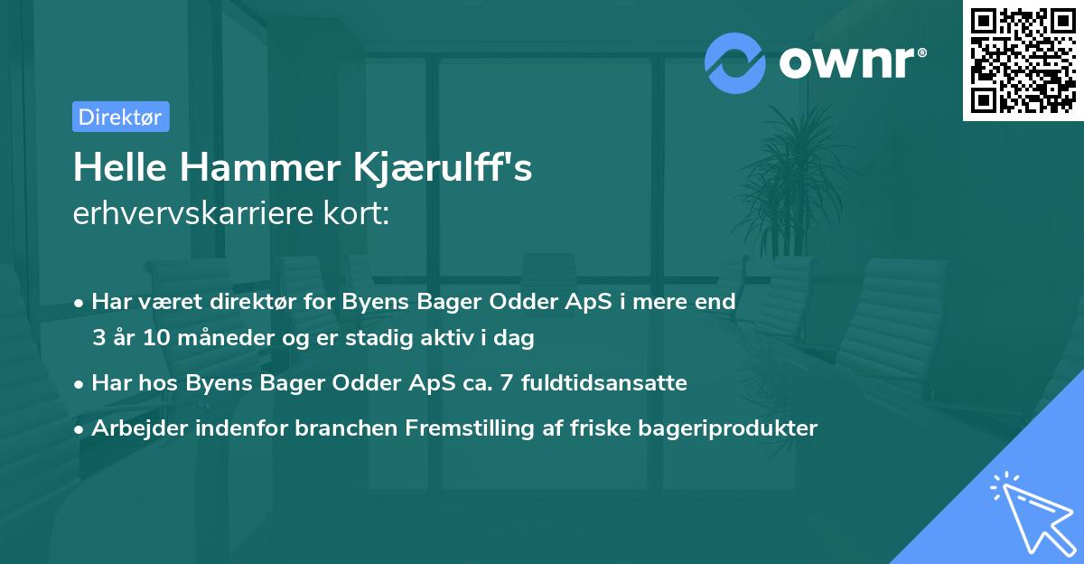 Helle Hammer Kjærulff's erhvervskarriere kort