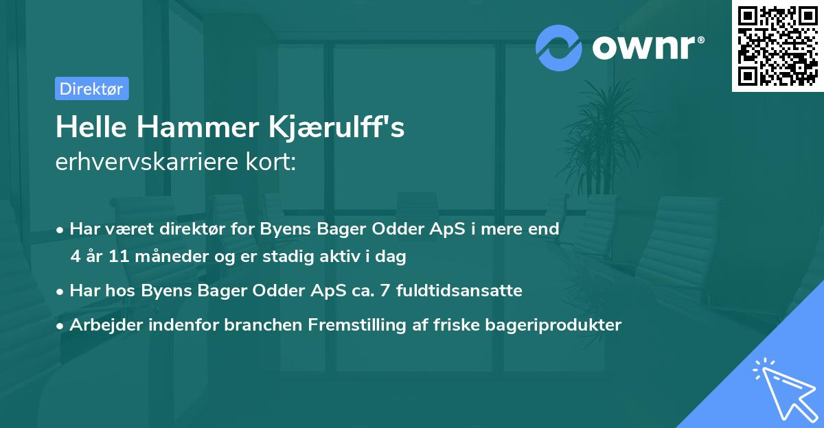 Helle Hammer Kjærulff's erhvervskarriere kort