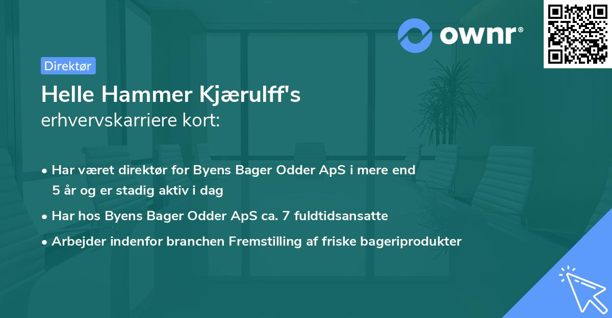 Helle Hammer Kjærulff's erhvervskarriere kort