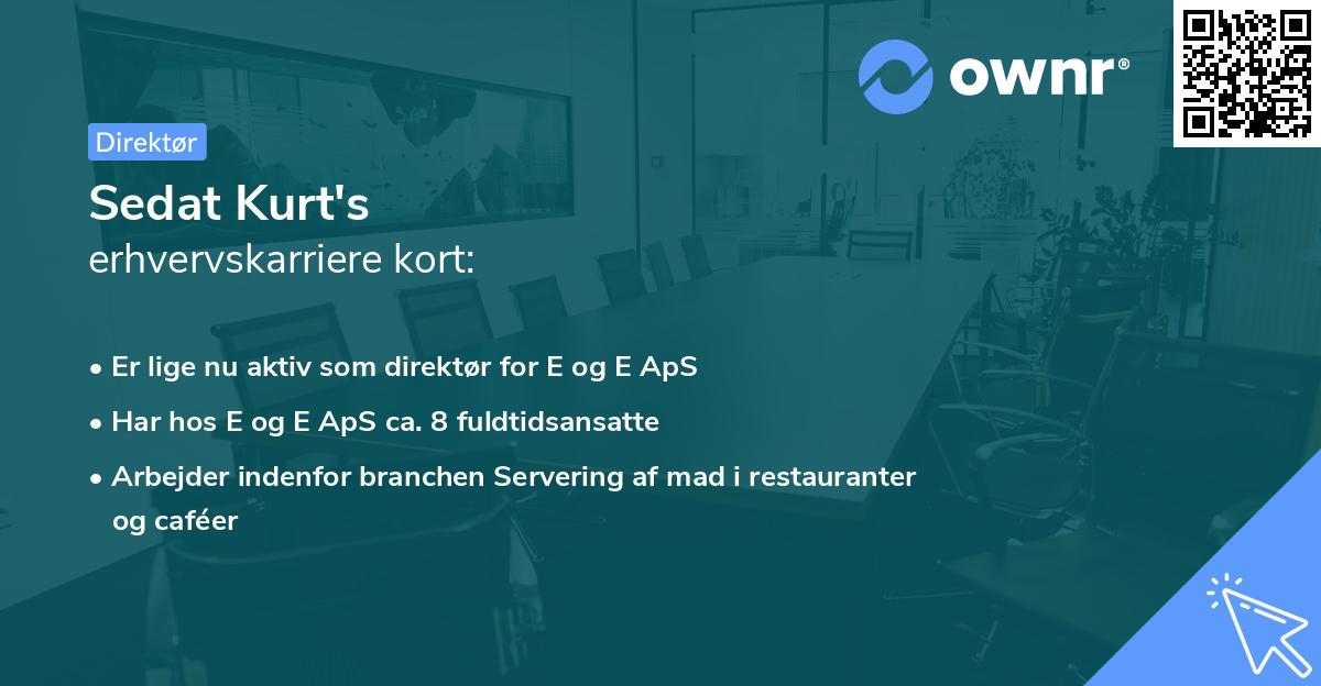 Sedat Kurt's erhvervskarriere kort