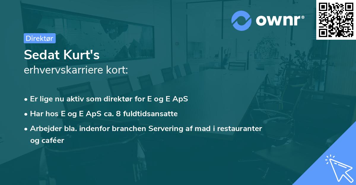 Sedat Kurt's erhvervskarriere kort