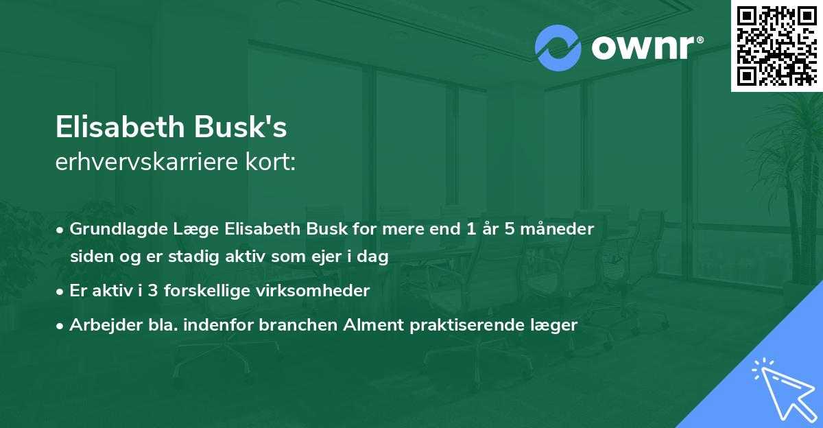 Elisabeth Busk's erhvervskarriere kort