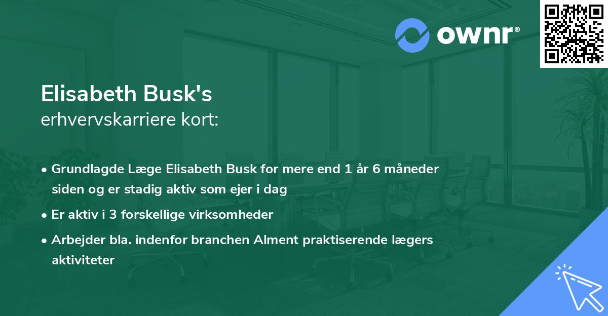 Elisabeth Busk's erhvervskarriere kort