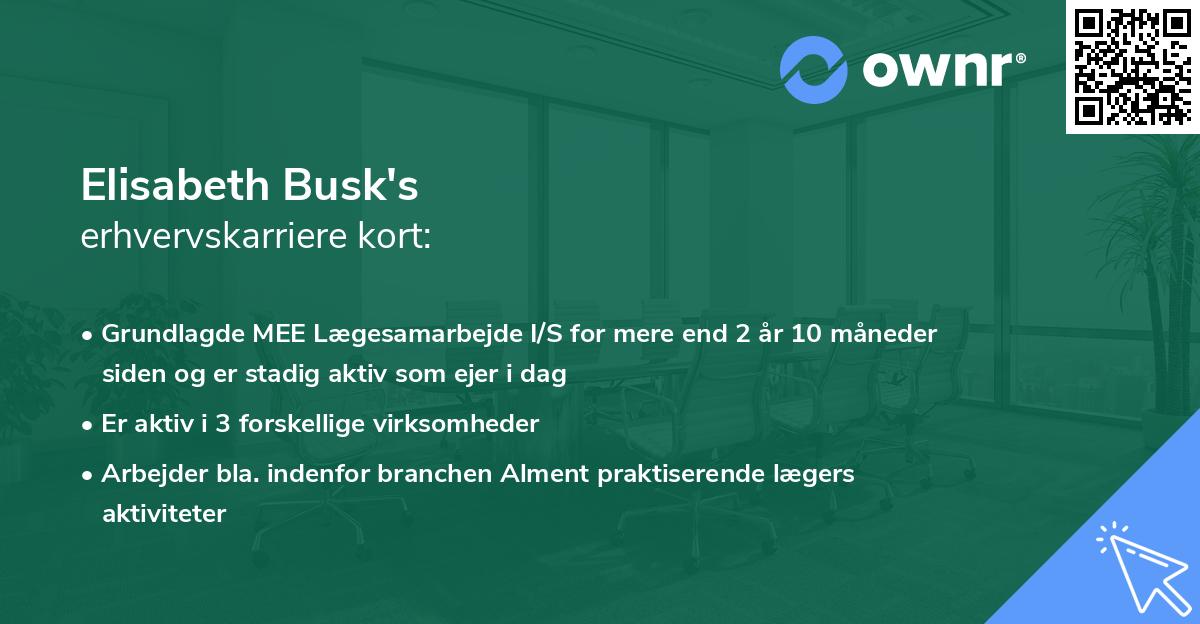 Elisabeth Busk's erhvervskarriere kort