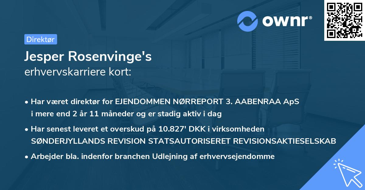 Jesper Rosenvinge's erhvervskarriere kort