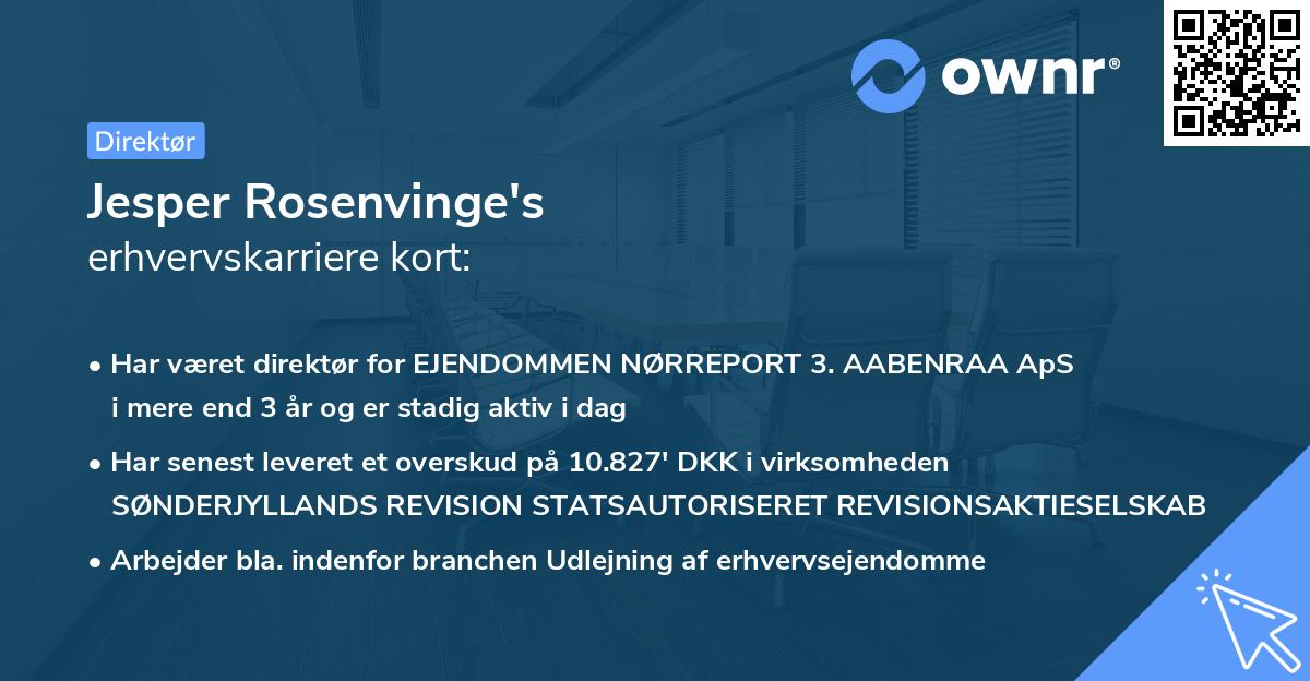 Jesper Rosenvinge's erhvervskarriere kort