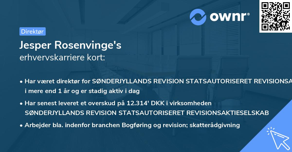 Jesper Rosenvinge's erhvervskarriere kort