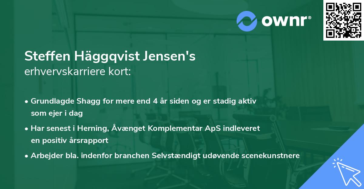 Steffen Häggqvist Jensen's erhvervskarriere kort