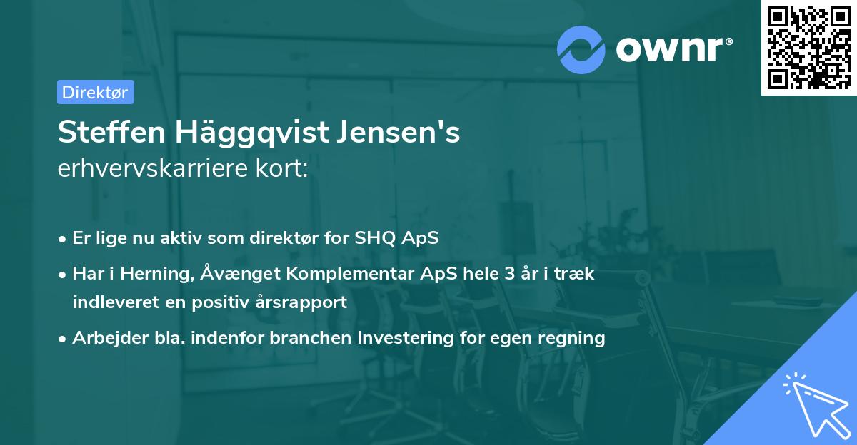 Steffen Häggqvist Jensen's erhvervskarriere kort