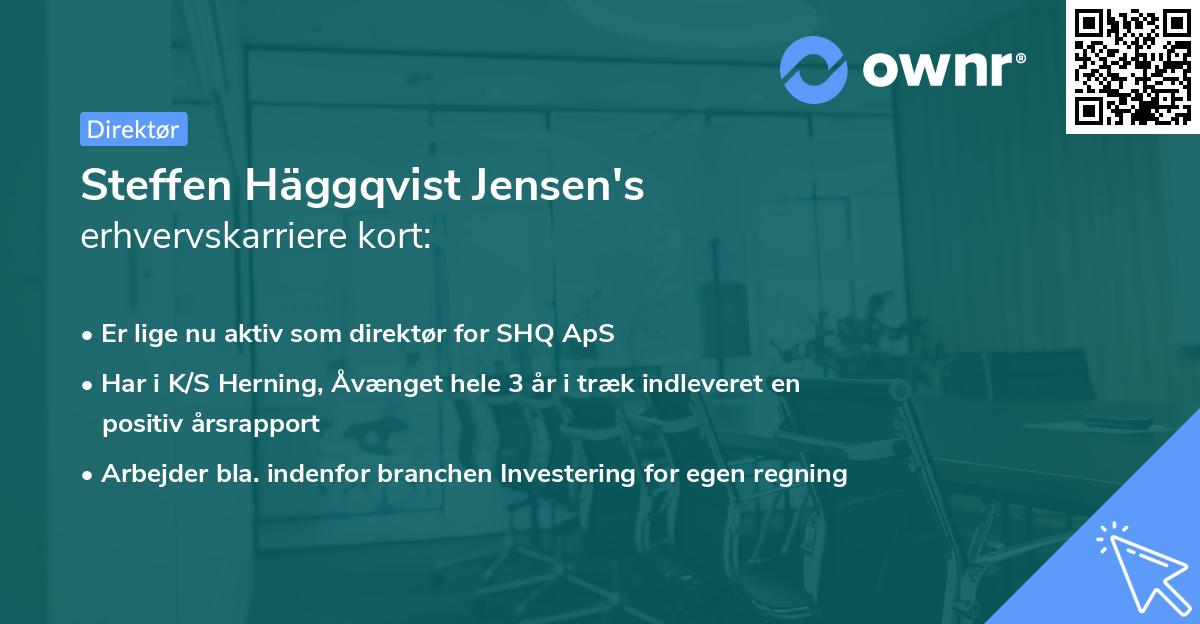 Steffen Häggqvist Jensen's erhvervskarriere kort