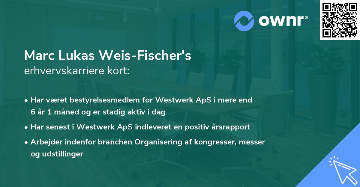 Marc Lukas Weis-Fischer's erhvervskarriere kort