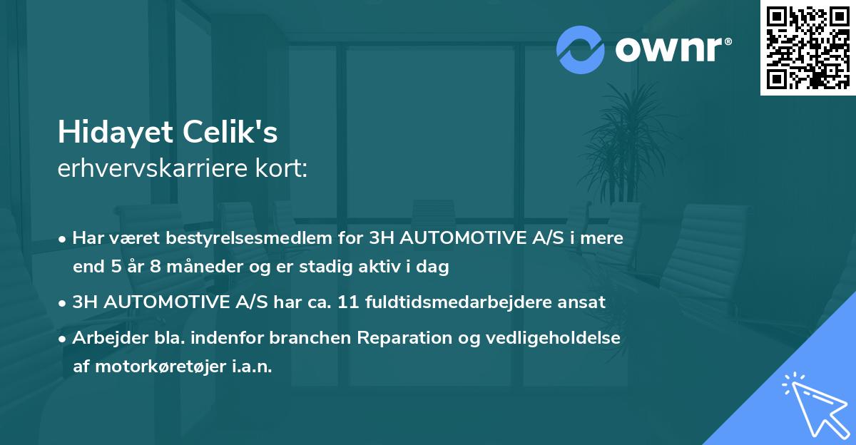 Hidayet Celik's erhvervskarriere kort