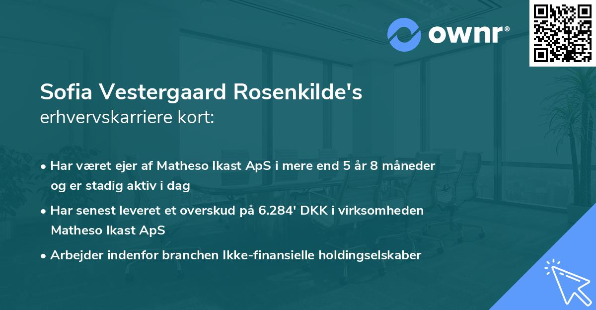 Sofia Vestergaard Rosenkilde's erhvervskarriere kort