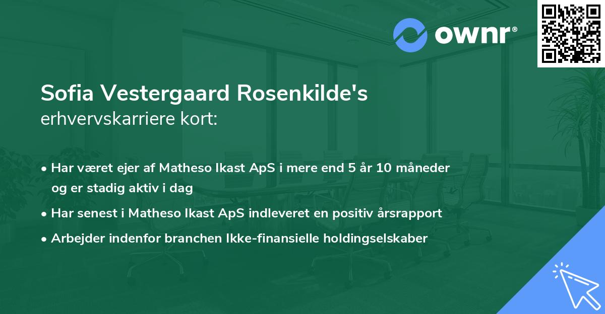 Sofia Vestergaard Rosenkilde's erhvervskarriere kort